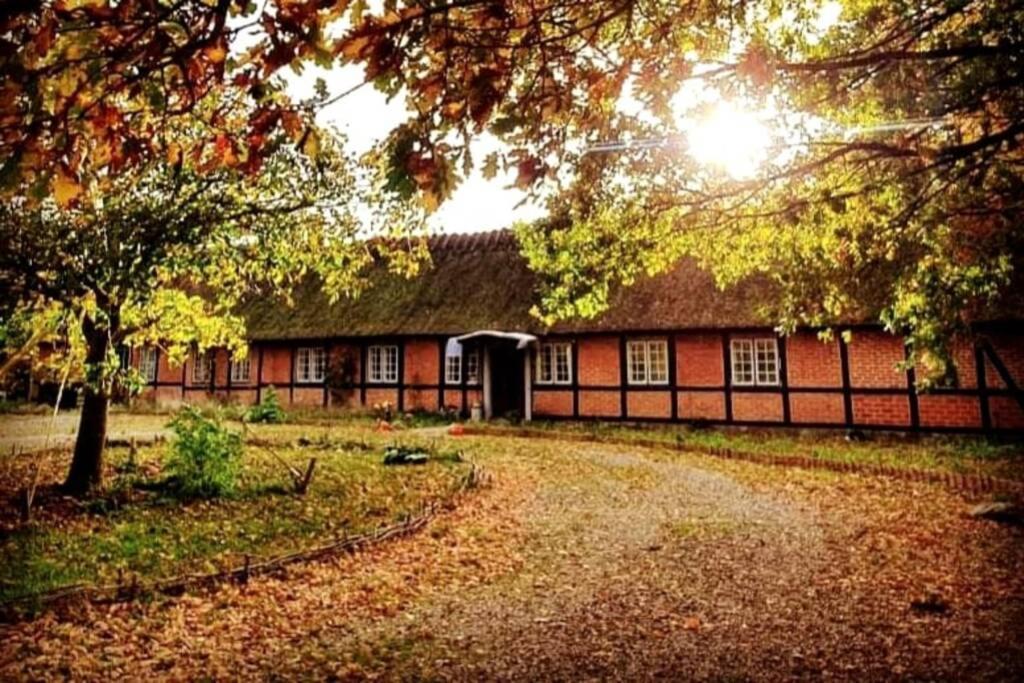 Alter Priesterhof - Idyllische Ferienhausvermietung Nykøbing Falster Exterior foto